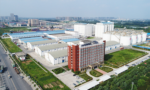 Flour Milling Project in China