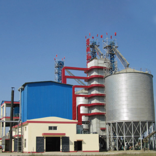 Paddy Drying System2